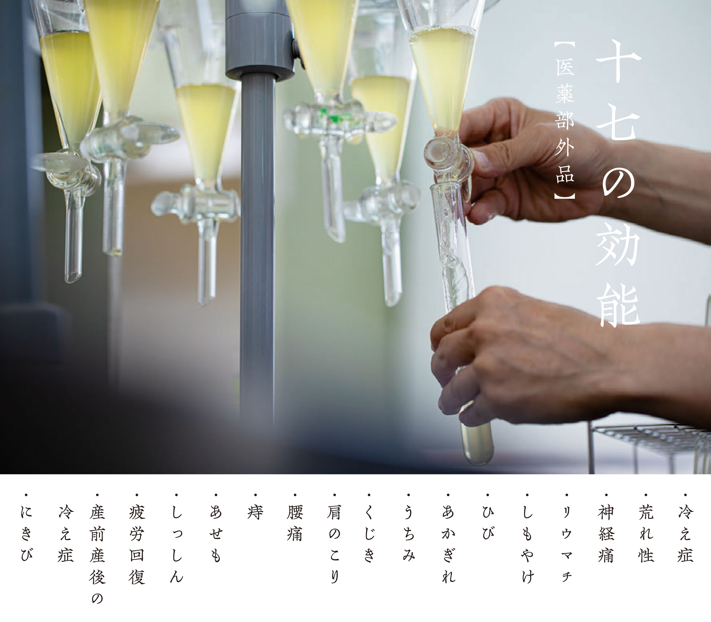 花とゆめ 懸賞 入浴剤 売れ筋ランキングも掲載中！ 花とゆめ 懸賞 入浴剤 少女漫画