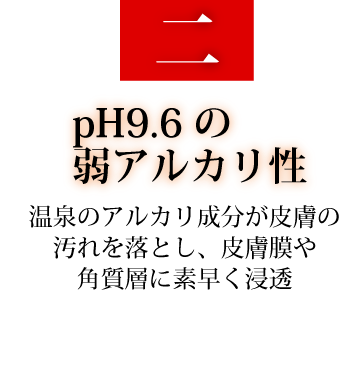 無垢 薬用 入浴剤 湯躍 いのち湧く ヤングビーナス薬品工業株式会社